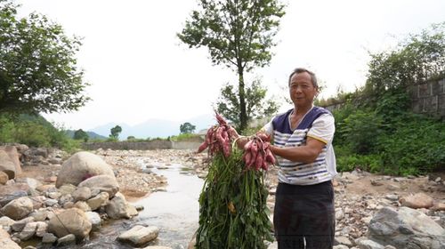 造血式助农引领消费新风尚，淘宝土货鲜食频道一月售出6亿元贫困县农产品