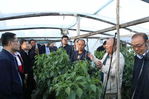 科技赋能乡村振兴 济宁市科普行动助力康驿镇农产品营销与电商发展