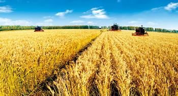 商丘精品农业诚信营销指南 初级农产品销售策略