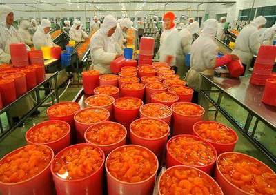 乡村创业新思路 初级农产品销售的多元出路