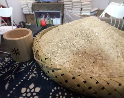 盐城农产品热销掀抢购潮，补货上新邀您明日再相聚