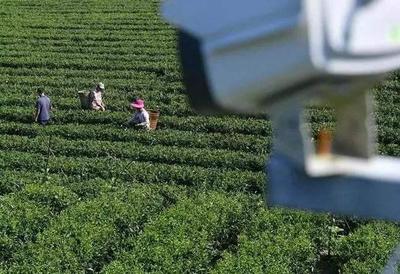 初级农产品销售如何办理《食品经营许可证》